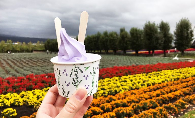 Hokkaido Highlights: What To See On Japan’s Famous Island