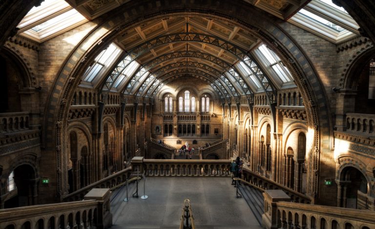 21 Museums To Visit Virtually While In Home Quarantine