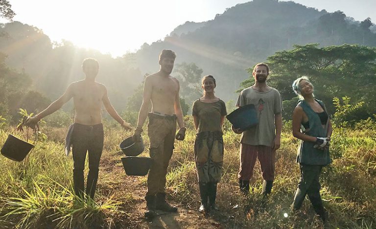 Letters From Latin America: COVID-19 Quarantine In A Colombian Jungle