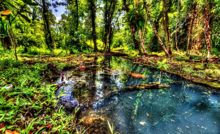 10 Malaysian Activity-Based Adventures To Embark On Post-Lockdown