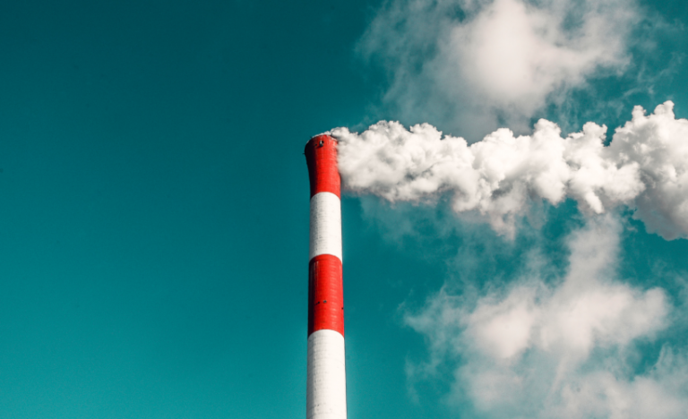 COVID-19 Vs Nature: The Pandemic’s Affects On The World’s Environment
