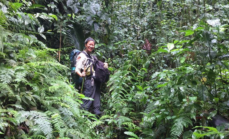 Letters From Latin America: Pachijal Forest, Ecuador