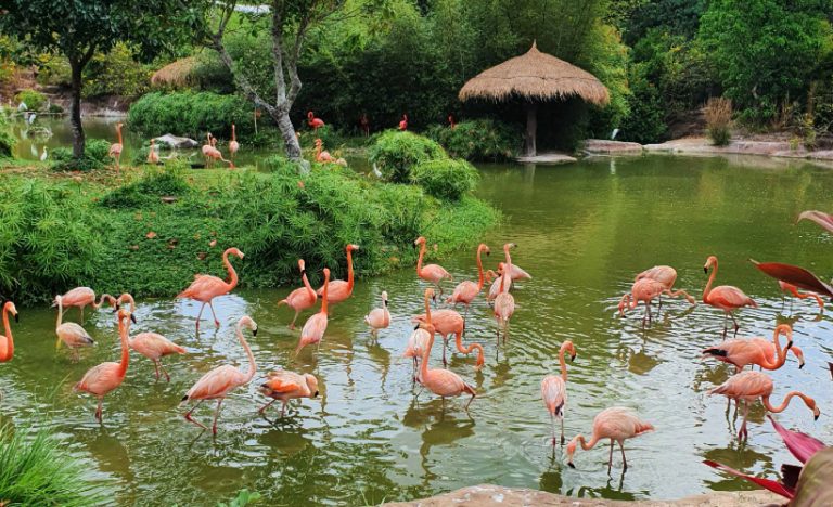 Make This Safari In Vietnam Your First Post-Pandemic Family Holiday
