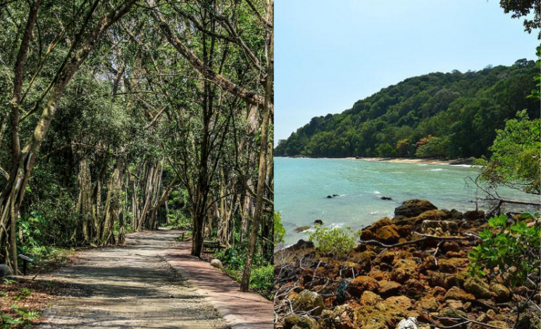 7 Day Trips To Take From Kuala Lumpur
