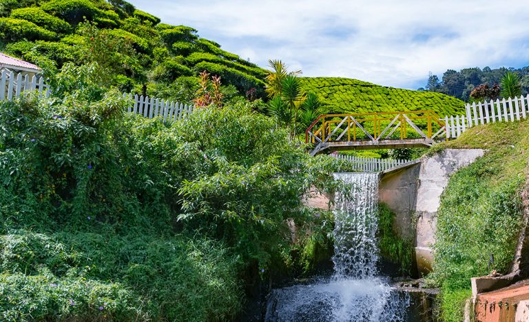 Catching Feels: 13 Chilly Escapes Throughout Malaysia