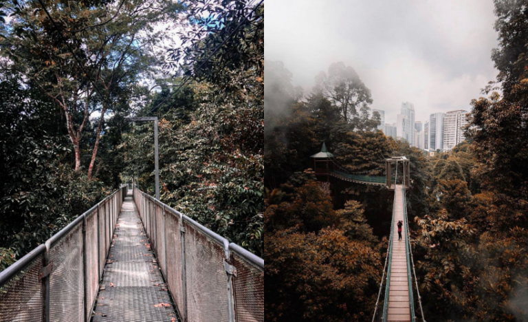 Nature Calling: 11 Of Malaysia’s Most Stunning Canopy Walks