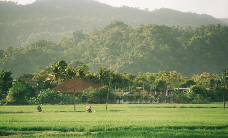 10 Reasons To Escape To The Small But Stunning State Of Perlis