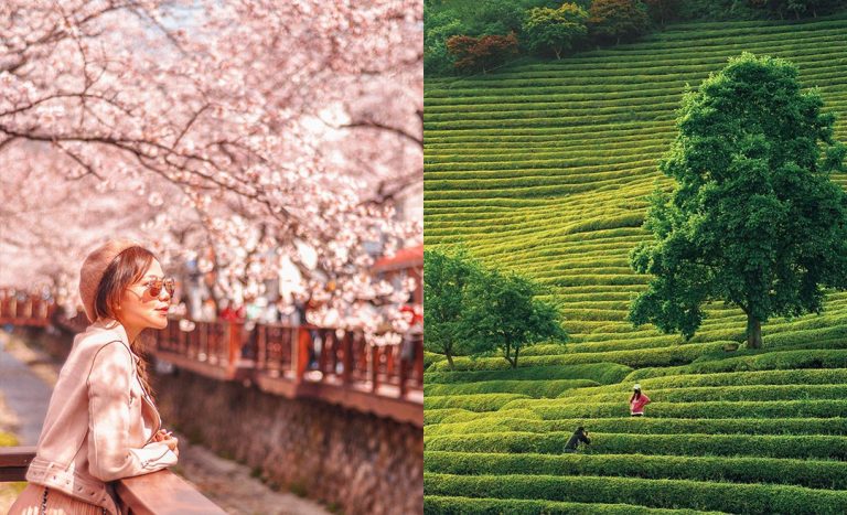 6 Places In South Korea You Simply Must Visit One Day