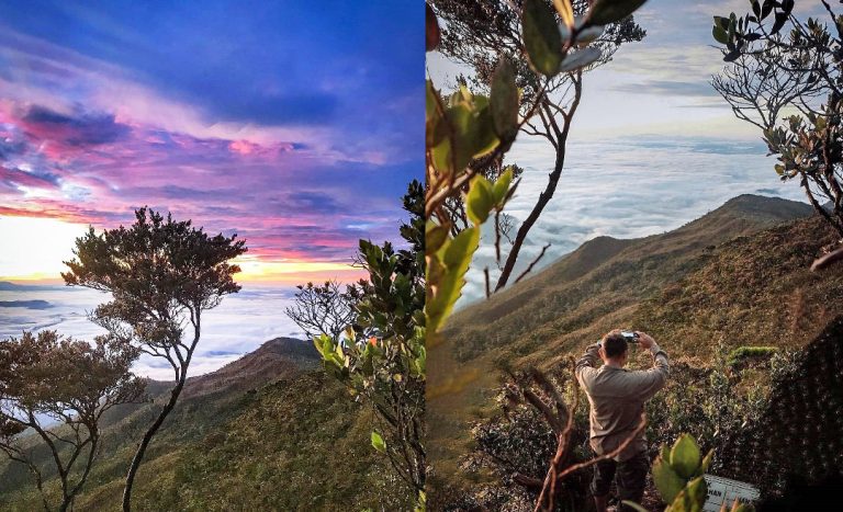 Essential Tips For Women Trekking In Taman Negara, Malaysia