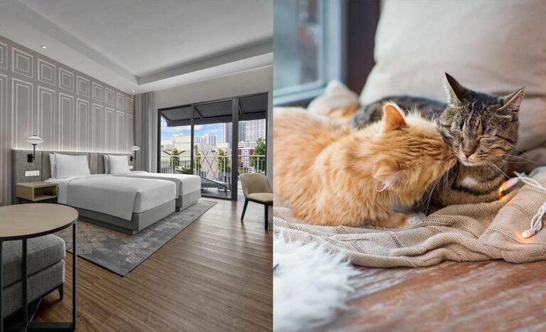Purr-fect: 9 Pet-Friendly Hotels In Malaysia