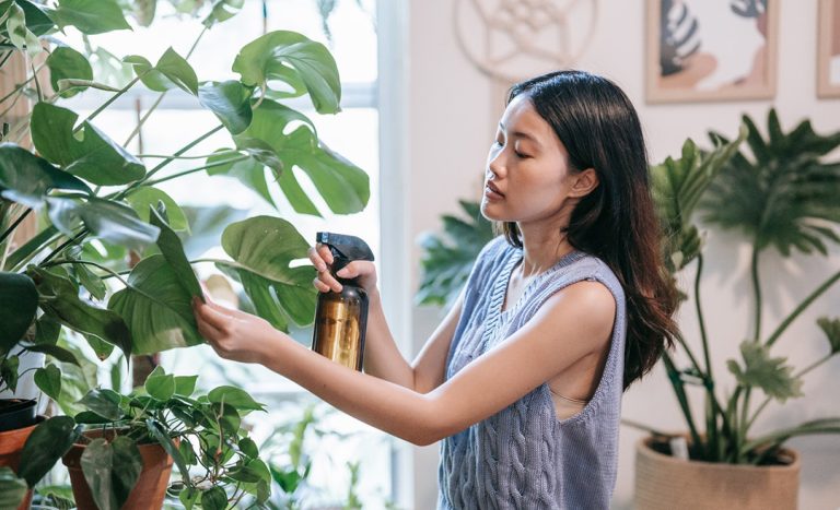 Best Nurseries In Klang Valley For All Your Plant Mom Needs