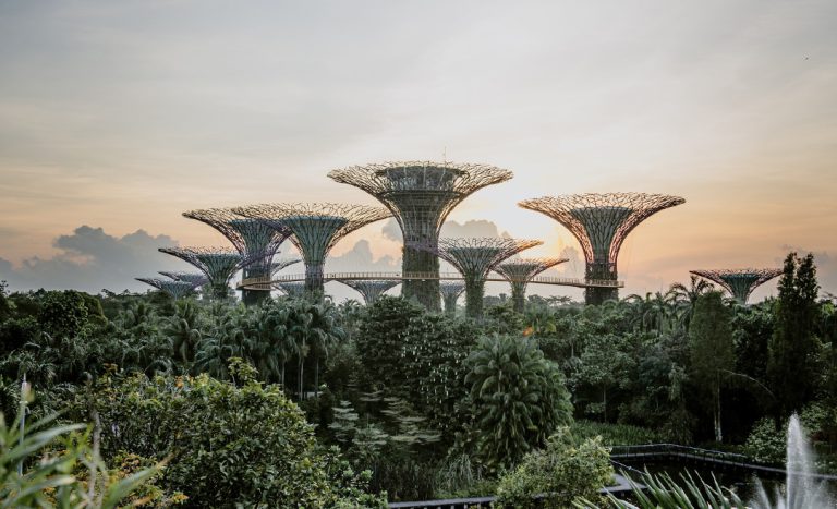 Malaysia-Singapore VTL Is Back In Action