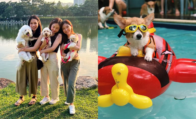 Klang Valley’s Best Pet-Friendly Parks, Cafes, & Things To Bond Over With Your Furbabies