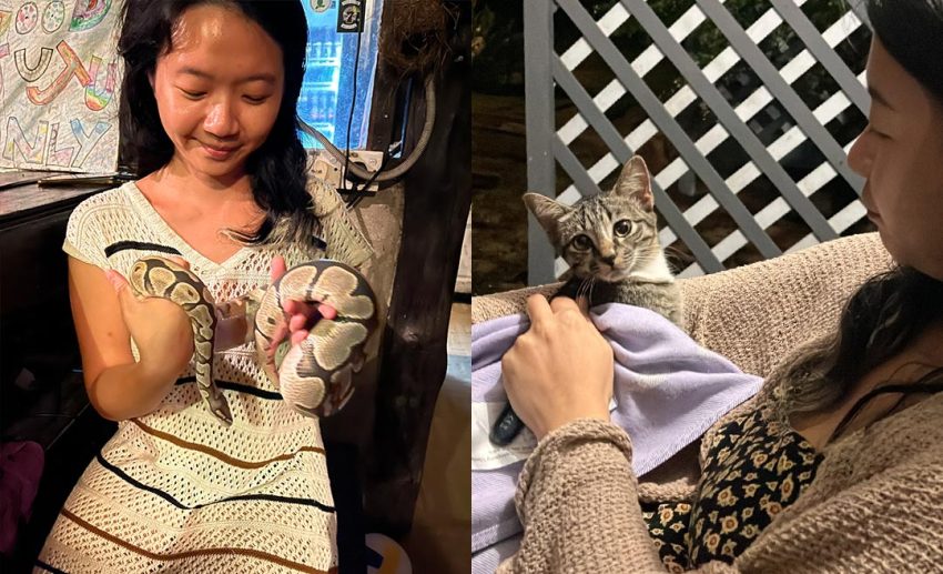 Meeting new people, furry friends