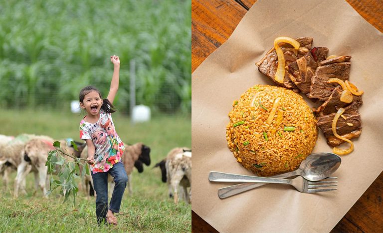 This Restaurant In Serdang Lets You Dine With Cute Sheep, Good Food, & Scenic Views