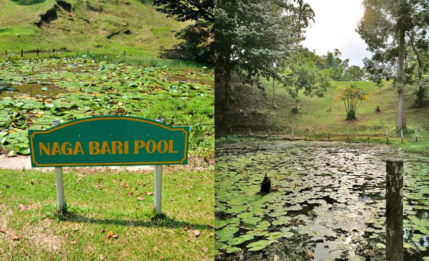 Naga Bari Lake, Sarawak