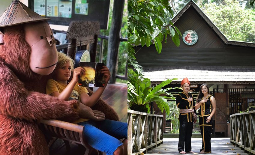 Sukau Rainforest Lodge, Sabah