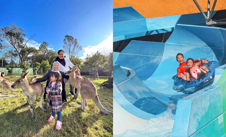 6 Things To Do With Kids In Brisbane’s Sunshine Coast
