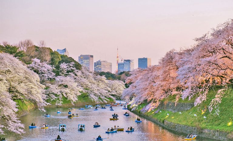 Fun To Fly: Exciting New Flight Routes & Air Adventures For 2022