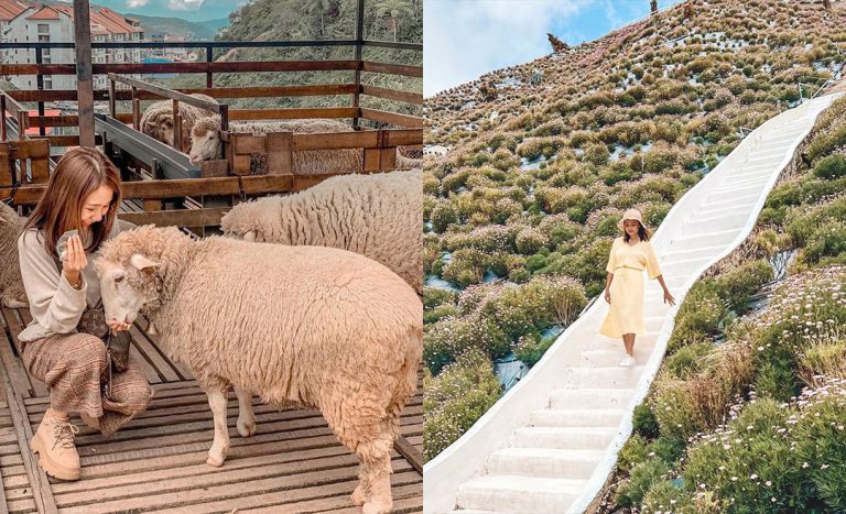 Highland Hopping: Things To Do In Frasers Hill, Genting, and Cameron Highlands