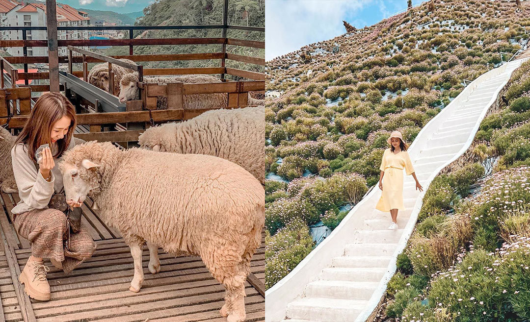 Highland Hopping: Things To Do In Frasers Hill, Genting, and Cameron Highlands