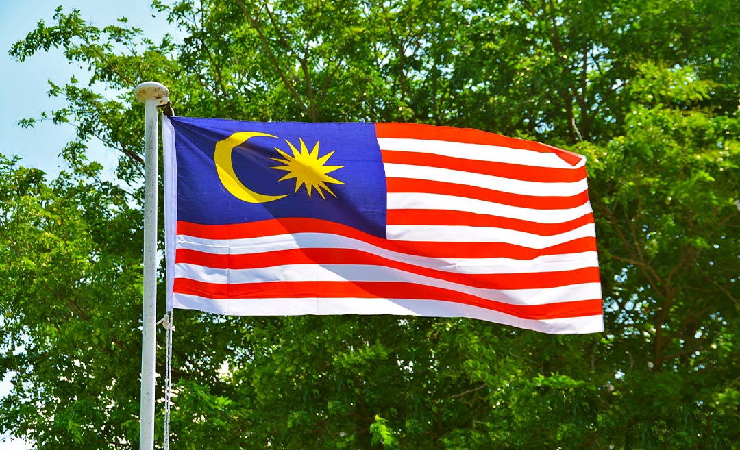 Malaysia Airlines and Firefly Offer Discounts On Airfares In Conjunction With GE15