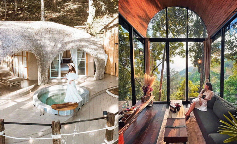 Fancy Forest Stays: Chiang Mai’s Best Glamping Spots