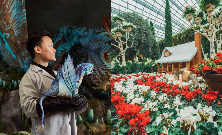 Singapore Fun: What To Do With Your Family This Festive Season