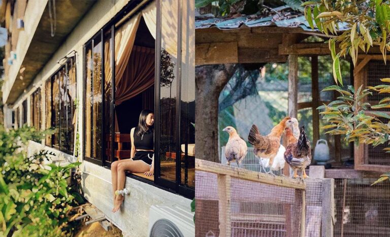 The Simple Life: Farm Stay Fun In Malaysia
