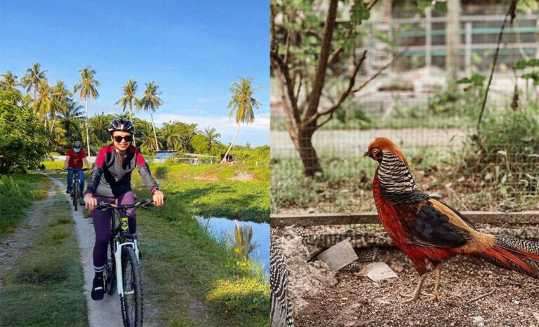 7 Exciting Things To Do & Eat In Balik Pulau, Penang