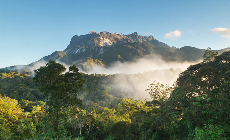 Kota Kinabalu, Sabah Will Get Club Med's First Green Resort In 2024