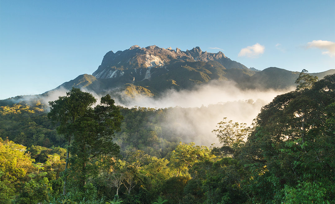 Kota Kinabalu, Sabah Will Get Club Med's First Green Resort In 2024