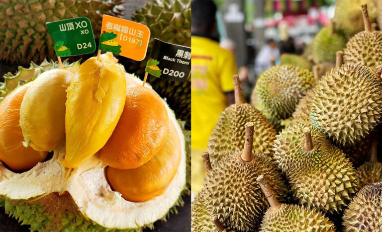 Durian 101: Your Ultimate Guide To Popular Varieties, Best Time To Eat, & Where To Buy Them