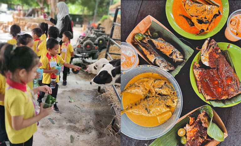 48 Hours In Kuala Selangor: Awesome Things To See, Do, & Eat