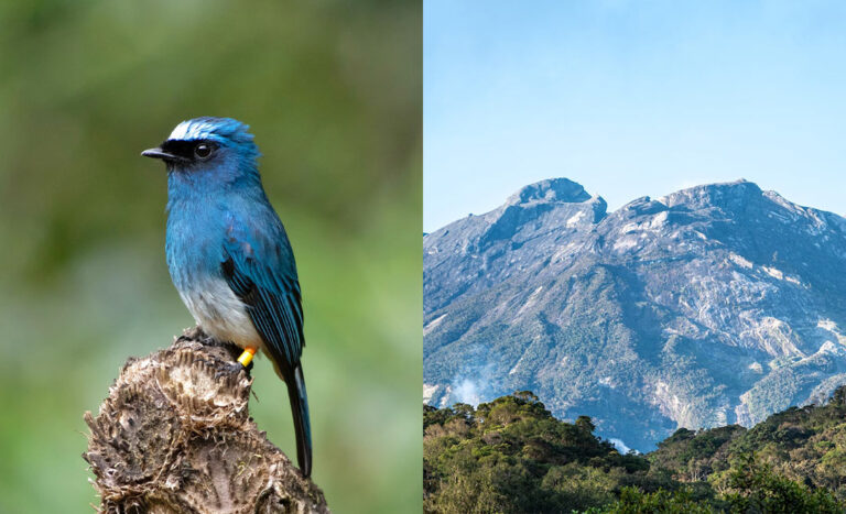 Sabah’s Crown Jewel: Kinabalu National Geopark Gains UNESCO Global Geopark Status
