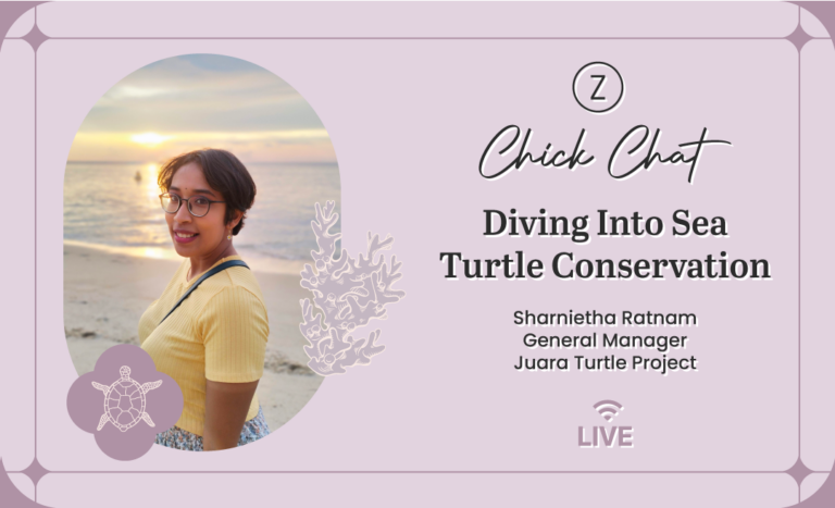 Diving Into Sea Turtle Conservation With Juara Turtle Project