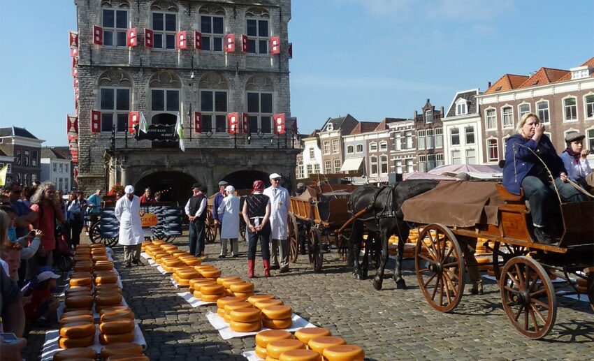 9. Gouda