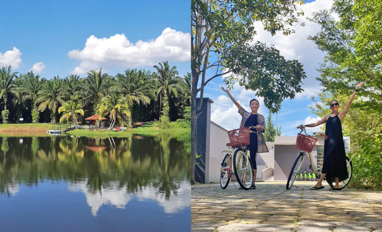 7 Reasons Mangala Resort & Spa Is The Perfect Getaway Destination