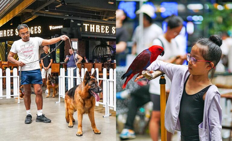 Fun With Furkids: Celebrate Your Pup Throughout July At Jaya One, PJ