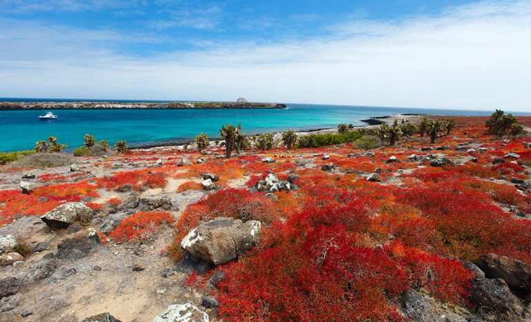 7 Reasons Ecuador’s Galapagos Islands Are Perfect For A Girls Trip