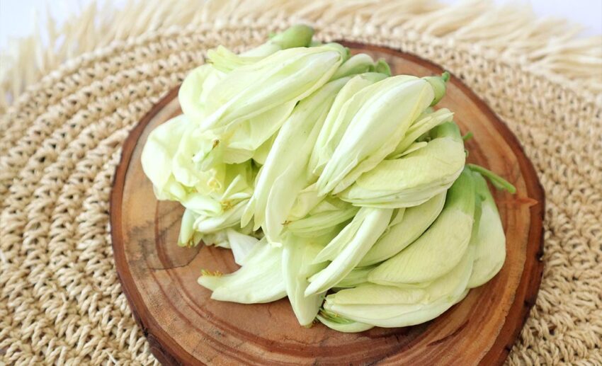 5. Vegetable hummingbird