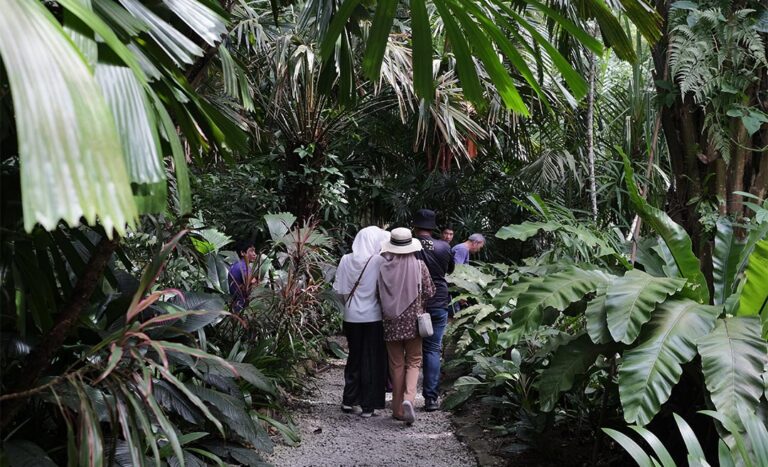 Embrace Two Decades of Nature and Culture at ‘Spice Out!’