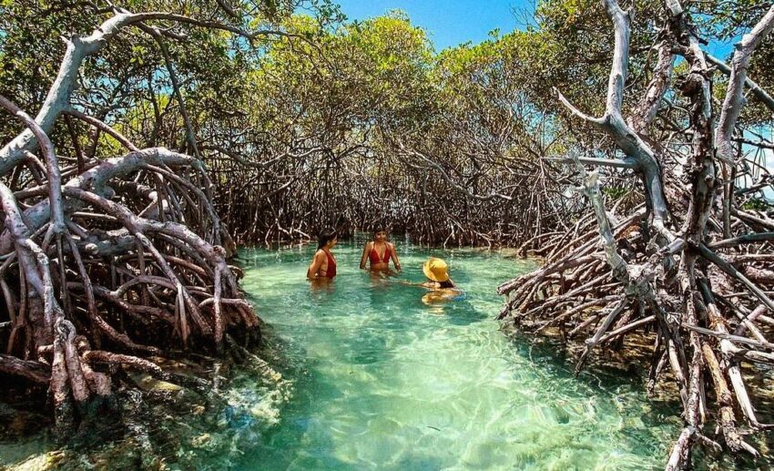 This Caribbean paradise is packed with things to do––rich history and culture, majestic mountains, pristine beaches, and waterfalls; Puerto Rico has it all.