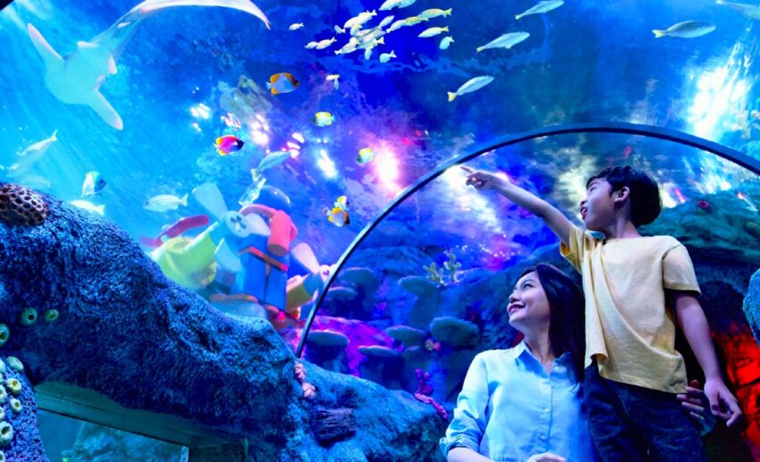 5. ‘Sea’ creatures up-close with SEA LIFE Malaysia