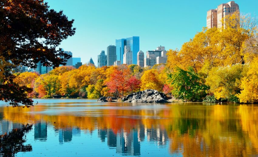 September: New York, USA