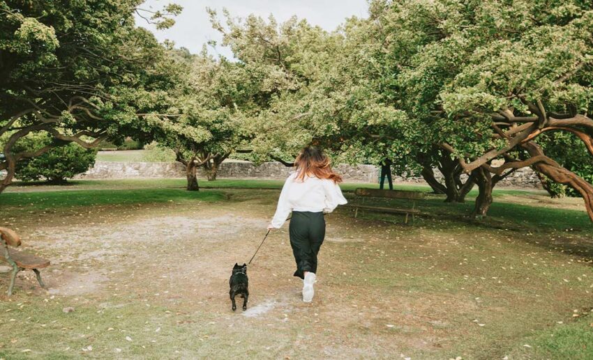 1. Take yourself on walks