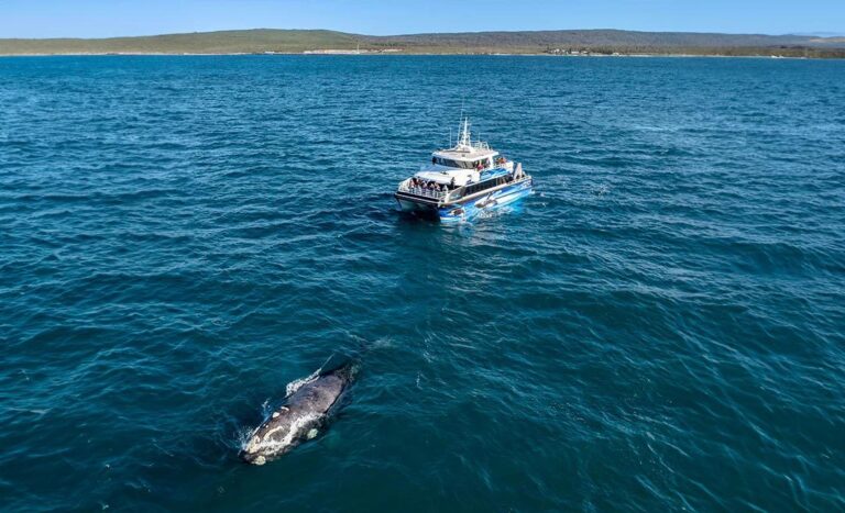 Adventure Down Under: Gear Up For Tourism Australia’s Return To MATTA Fair 2024