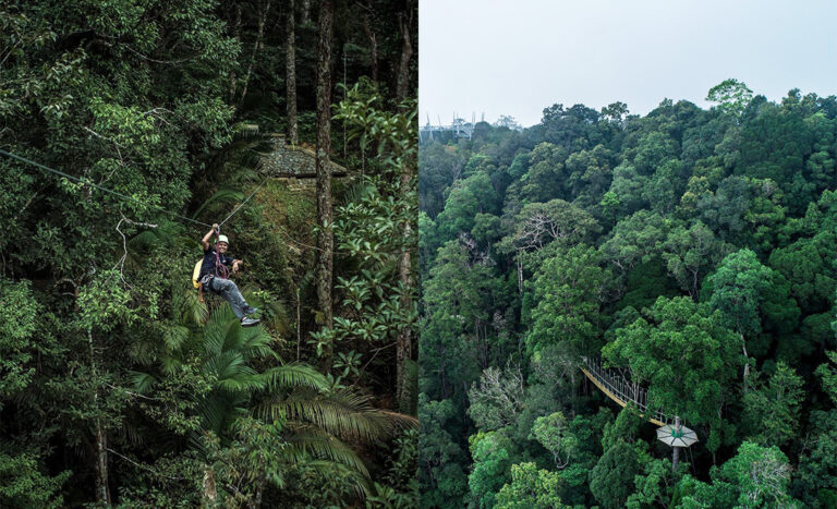 Guide To Penang Hill: Flora, Fauna & A Panoramic View Of George Town
