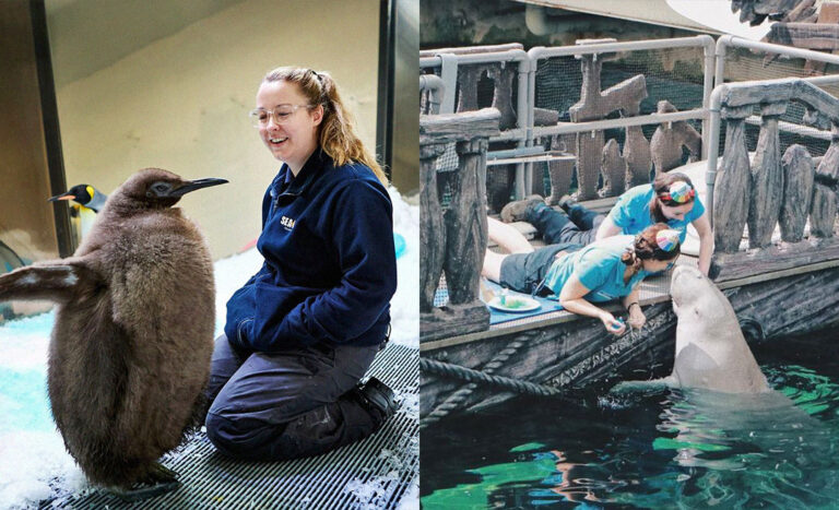 Cuddly Creatures: Shining The Spotlight On Australia’s Adorable Animals