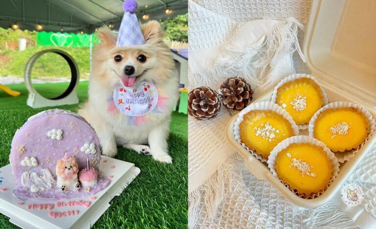 7 Pet Bakeries In Malaysia Making Pawsome Cakes For Furkids
